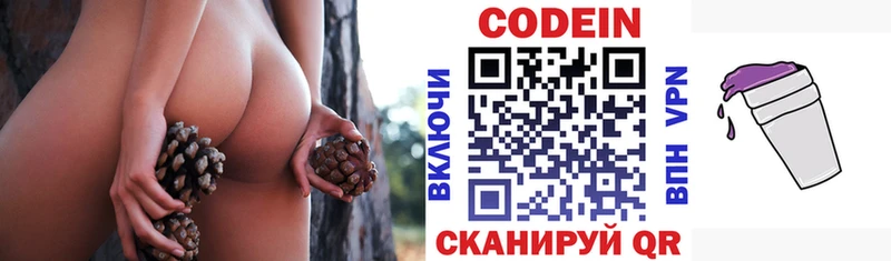 Codein напиток Lean (лин)  ссылка на мегу маркетплейс  Лыткарино  купить наркотики цена 