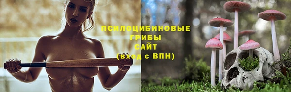 МДПВ Володарск