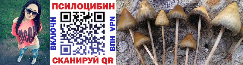 Псилоцибиновые грибы прущие грибы  Лыткарино 